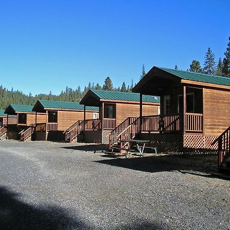 Yosemite Lakes Cabin 42 Hotel Harden Flat Esterno foto