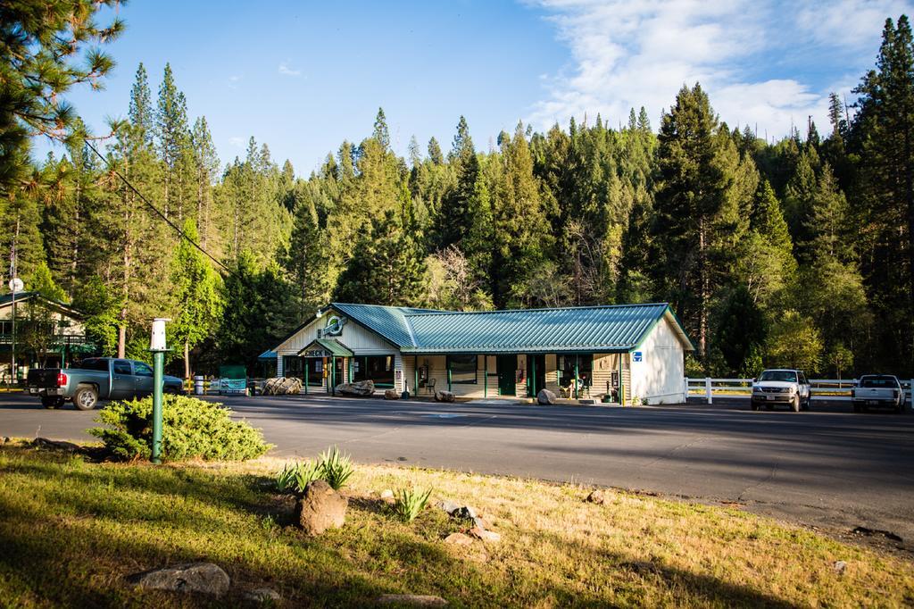 Yosemite Lakes Cabin 42 Hotel Harden Flat Esterno foto