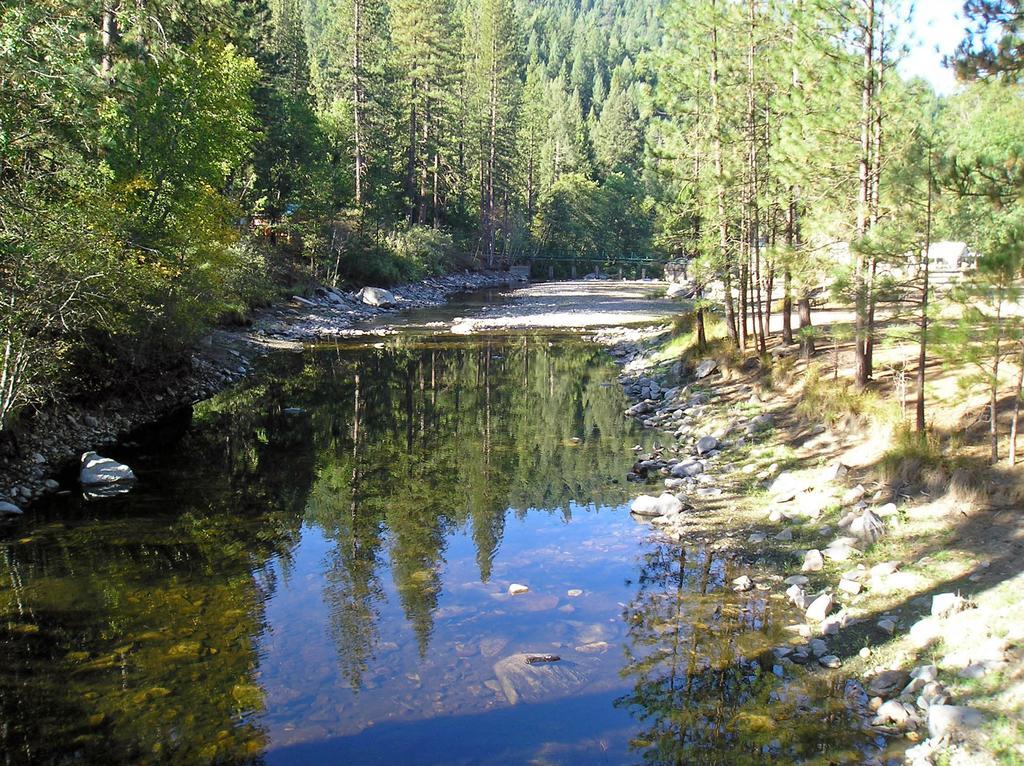 Yosemite Lakes Cabin 42 Hotel Harden Flat Esterno foto